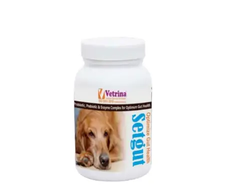 Vetrina Setgut Powder for Dogs and Cats 50g Supplement PetMedicine.co