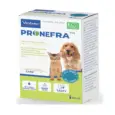 Buy Virbac Pronefra Liquid Supplement for Dogs & Cats – PetMedicine.co