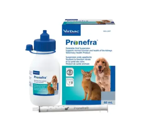 Virbac Pronefra Syrup for Dogs and Cats Kidney Health – PetMedicine.co