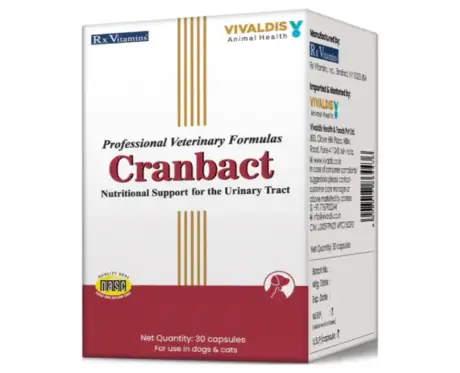 Buy Vivaldis Cranbact urinary care supplement for pets - PetMedicine.co