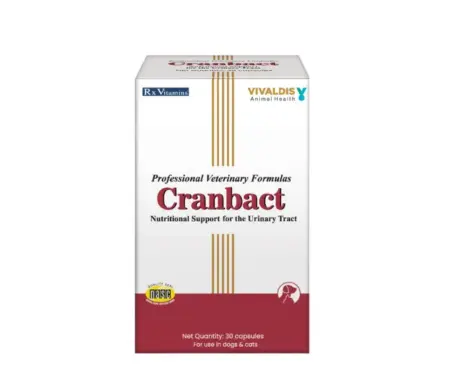 Vivaldis Cranbact capsules for dogs and cats 30 tablets - PetMedicine.co