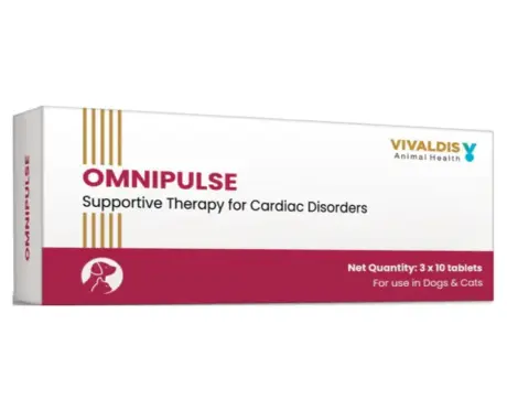 Buy Vivaldis Omnipulse Antibiotic Tablets Online for Pets - PetMedicine.co