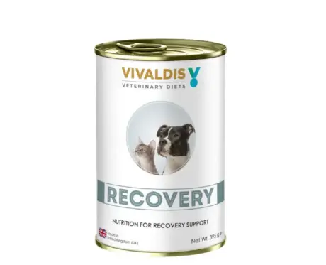 Vivaldis Recovery Diet Dog Wet Food for dogs – PetMedicine.co