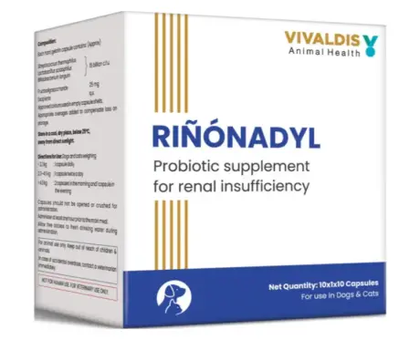 Buy Vivaldis Rinonadyl tablets online for renal health PetMedicine.co