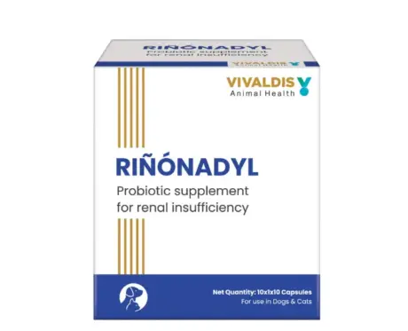 Vivaldis Rinonadyl tablet for dogs and cats kidney support PetMedicine.co