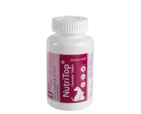 Alembic Vet Nutritop tablets for dogs and cats 60 pack PetMedicine.co