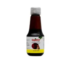 Areion Vet Carisyp Syrup for Dogs and Cats 100ml – PetMedicine.co