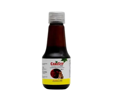 Areion Vet Carisyp Syrup for Dogs and Cats 100ml – PetMedicine.co