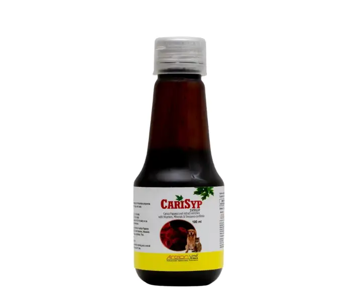 Areion Vet Carisyp Syrup for Dogs and Cats 100ml – PetMedicine.co