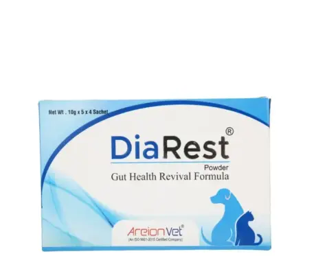 Areion Vet DiaRest Sachets for Dogs and Cats Electrolytes - PetMedicine.co