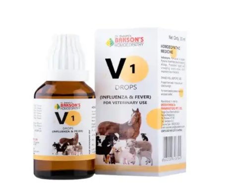 Bakson Veterinary V1 Influenza & Fever Drops for Dogs and Cats - PetMedicine.co