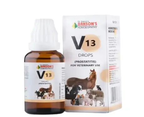 Bakson Veterinary V13 Prostatitis Drops 30ml for Pets – PetMedicine.co