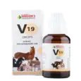 Bakson Veterinary V19 Colic Drops 30ml for Pets – PetMedicine.co