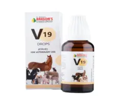 Bakson Veterinary V19 Colic Drops 30ml for Pets – PetMedicine.co