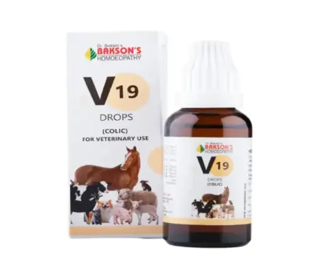 Bakson Veterinary V19 Colic Drops 30ml for Pets – PetMedicine.co