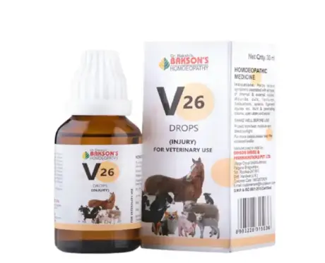 Bakson Veterinary V26 Injury Drops for Cats Dogs 30ml PetMedicine.co