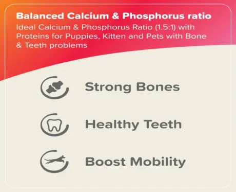 Beaphar Bone Builder Powder for Strong Bones and Teeth - PetMedicine.co