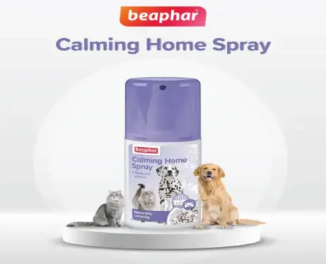 Natural Beaphar Calming Spray for Pets Stress Relief PetMedicine.co