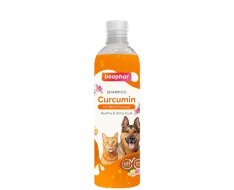 Beaphar Curcumin Shampoo for Dogs and Cats 250ml at PetMedicine.co