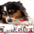 Beaphar pet toothpaste for clean teeth and fresh breath PetMedicine.co