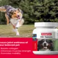 Buy Beaphar HD Tablet 60 Tablets for Dogs Joint Care – PetMedicine.co