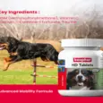 Beaphar HD Tablet Mobility Support for Dogs and Puppies – PetMedicine.co