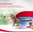Buy Beaphar Lactol Kitten Milk Online 200gm – PetMedicine.co