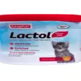 Beaphar Lactol Kitten/Newborn Milk Formula for Cats – PetMedicine.co