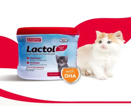 Beaphar Lactol Kitten/Newborn Milk Formula for Cats – PetMedicine.co