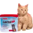 Beaphar Lactol Kitten Milk Replacer 200gm – PetMedicine.co
