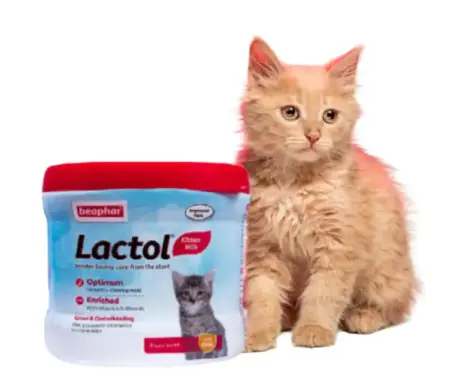 Beaphar Lactol Kitten Milk Replacer 200gm – PetMedicine.co