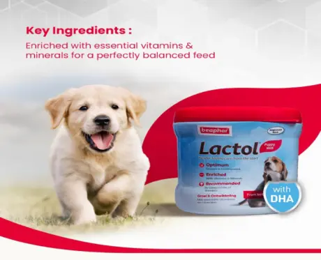 Beaphar Lactol Puppy Milk Formula for Newborn Puppies - PetMedicine.co