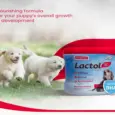 Beaphar Lactol Puppy Milk Formula for Newborn Puppies - PetMedicine.co