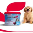 Beaphar Lactol Puppy Nutritional Supplement - PetMedicine.co