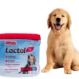 Beaphar Lactol Puppy Milk Replacer 200gm - PetMedicine.co