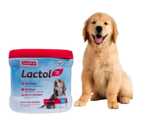 Beaphar Lactol Puppy Milk Replacer 200gm - PetMedicine.co