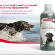 Buy Beaphar Black Coat Shampoo for Pets Online PetMedicine.co