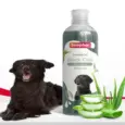 Buy Beaphar Black Coat Shampoo for Pets Online PetMedicine.co