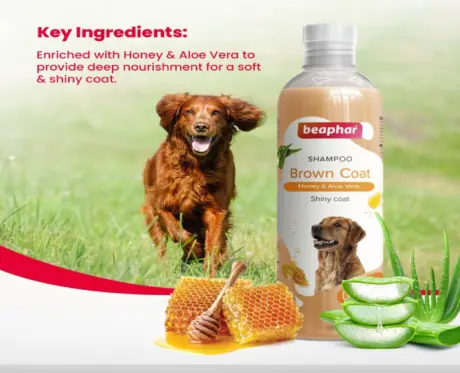 Beaphar Shampoo for Brown Coat Dogs Cats Grooming 250ml PetMedicine.co