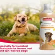 Beaphar Shampoo for Brown Coat Dogs Cats Grooming 250ml PetMedicine.co