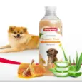 Buy Beaphar Brown Coat Pet Shampoo 250ml Online PetMedicine.co