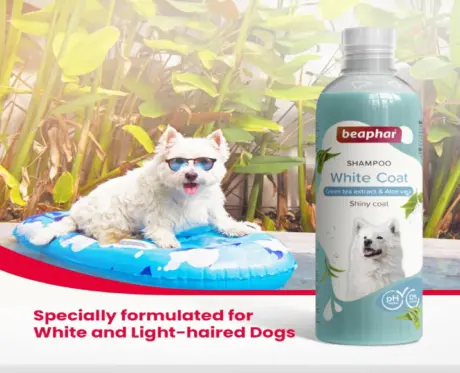 Beaphar White Coat Shampoo 250ml for Shiny Pet Hair – PetMedicine.co