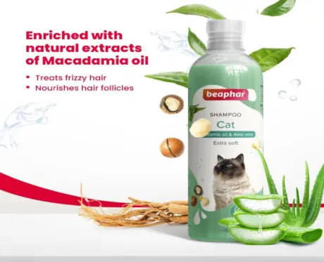 Buy Beaphar Cat Shampoo with Macadamia Oil Online - PetMedicine.co