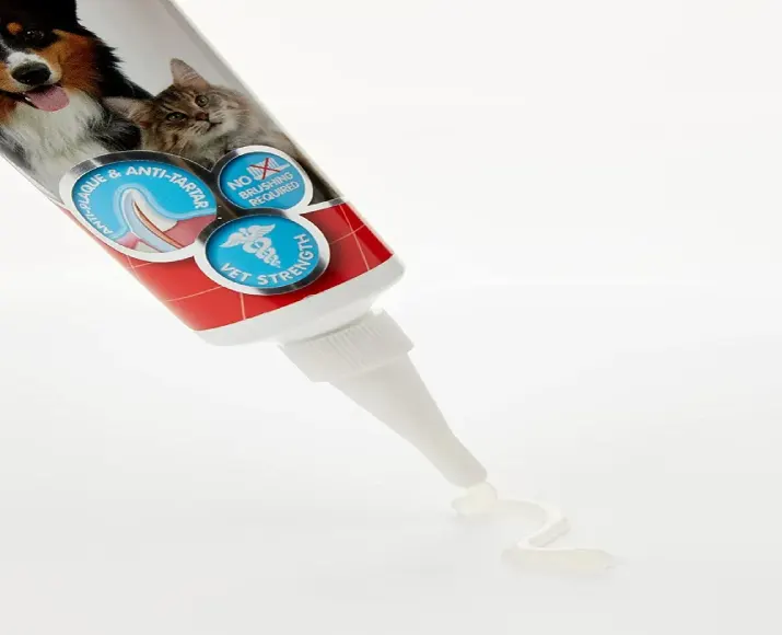 Buy Beaphar Tooth Gel 100gm for Pets Oral Hygiene – PetMedicine.co