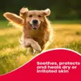 Beaphar Wound Ointment antiseptic cream for small pets | PetMedicine.co