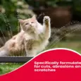 Beaphar Wound Ointment antiseptic cream for small pets | PetMedicine.co