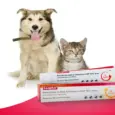 Buy Beaphar Wound Ointment for cats and dogs online | PetMedicine.co