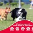 Buy Beaphar Wound Solution Spray 125ml for Dogs & Cats - PetMedicine.co