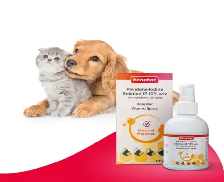 Beaphar Wound Solution Spray for Pets 125ml Povidone Iodine 10% - PetMedicine.co
