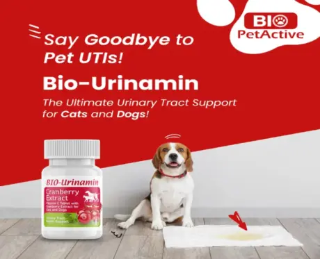 Buy Bio PetActive Bio Urinamin Supplement for Urinary Health | PetMedicine.co